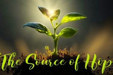 a young green plant growing out of the soil,. The words, "The Source of Hope" written below