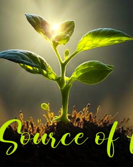 a young green plant growing out of the soil,. The words, "The Source of Hope" written below