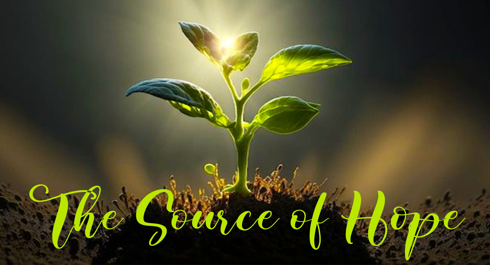 a young green plant growing out of the soil,. The words, "The Source of Hope" written below